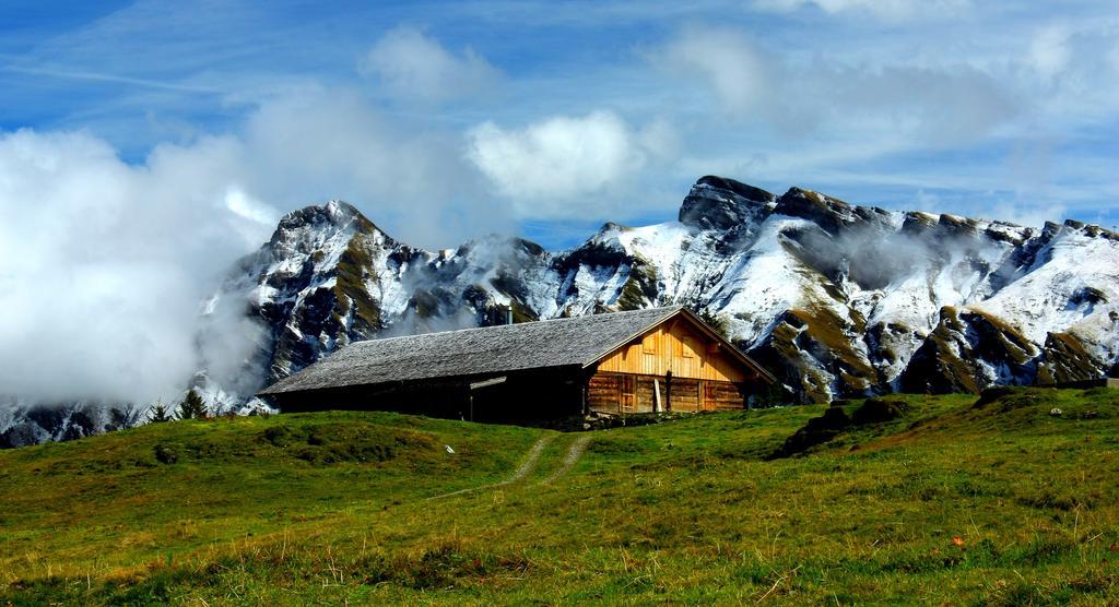 Alpina Hotel 2*
