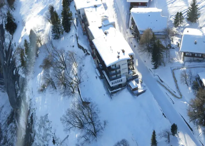 Hotel Alpina