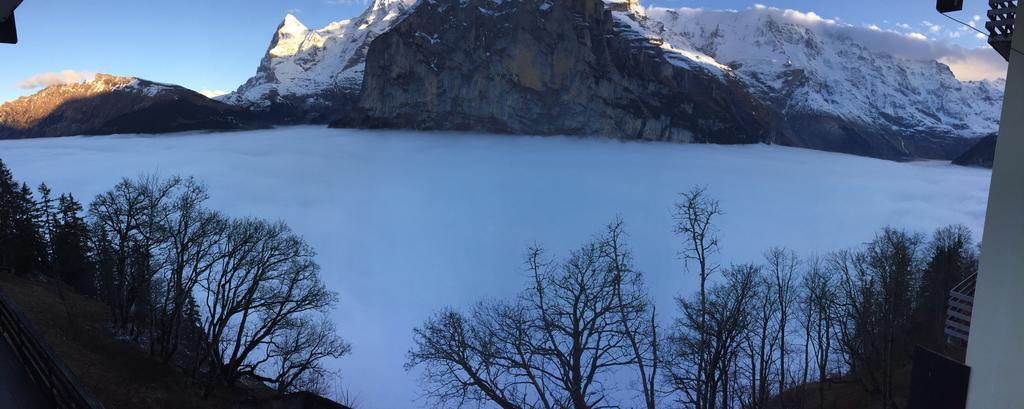 Alpina होटल Murren